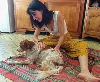 Soin énergétique sur animal